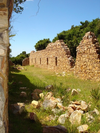 Timber Shed